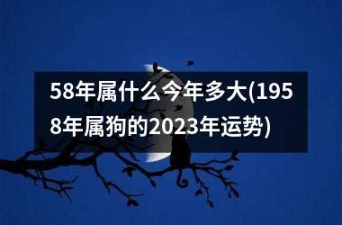 58年属什么